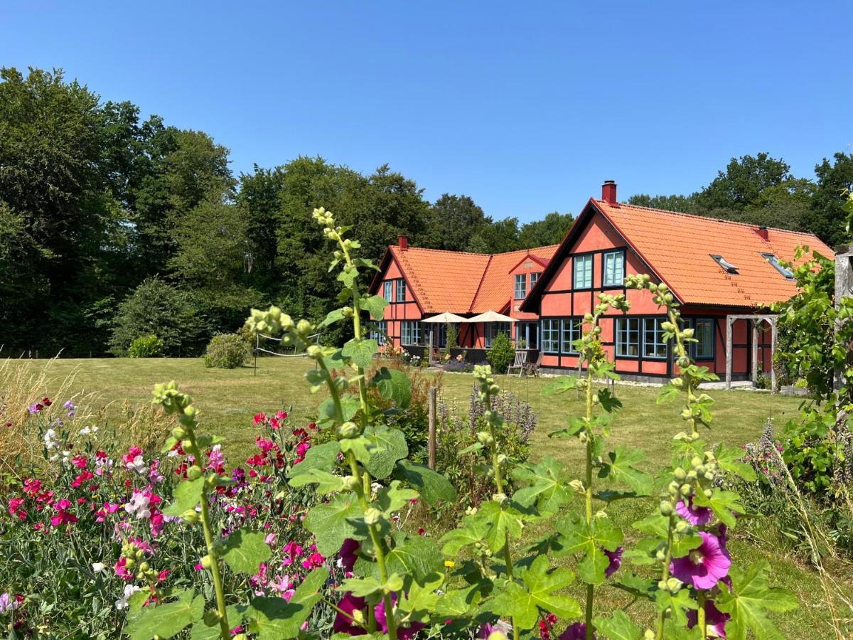 Villa Hasselbacken Gärsnäs Kültér fotó