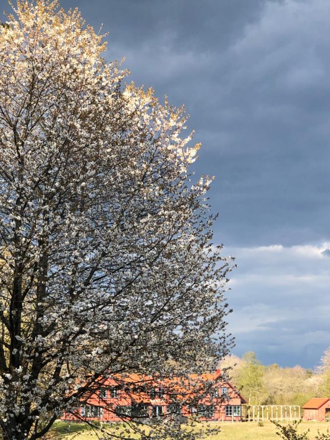 Villa Hasselbacken Gärsnäs Kültér fotó