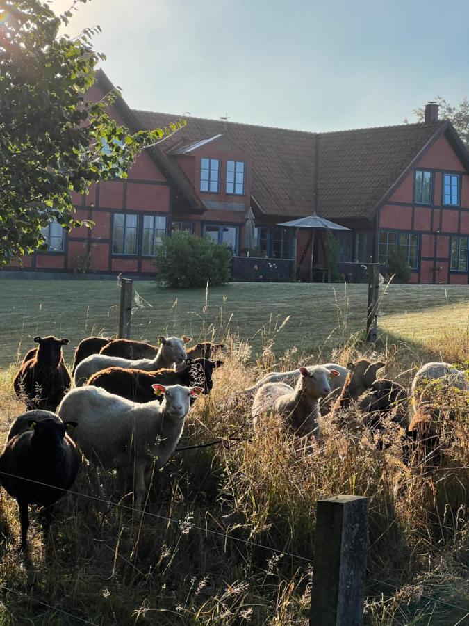 Villa Hasselbacken Gärsnäs Kültér fotó